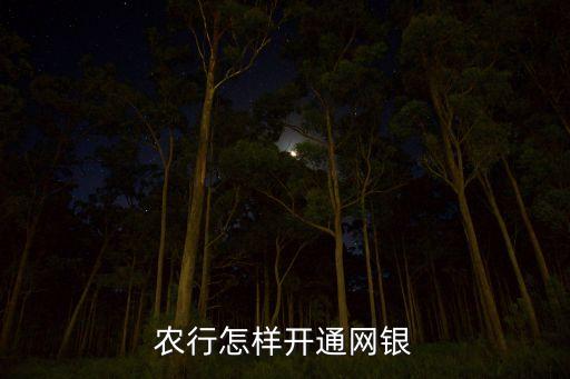 农业银行怎么装网银,苹果电脑农业银行网银怎么装