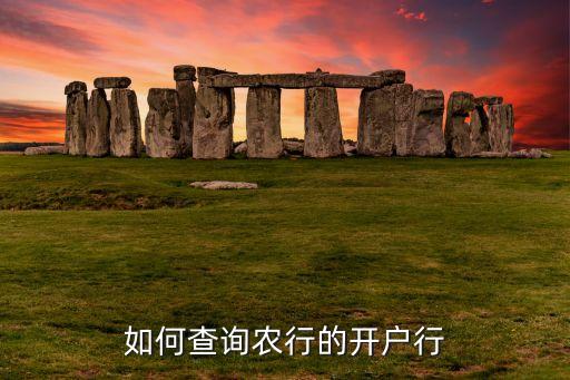 农业银行柜台怎么查