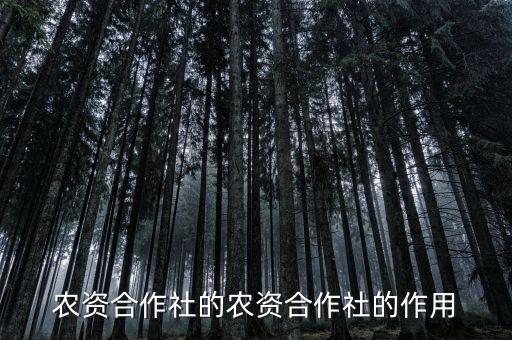 农业联合体怎么注册,农业产业联合体的优势