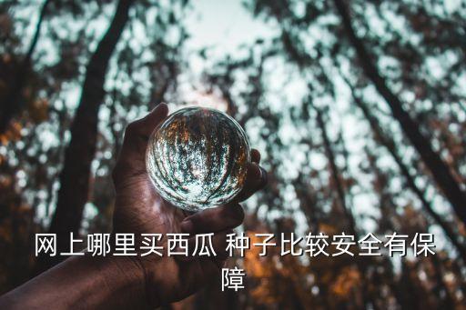 在网上怎么买农业种子,农业的种子怎么生产的