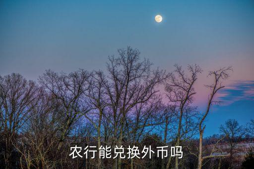 农业银行怎么外汇交易的,中国农业银行怎么兑换外币