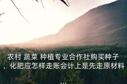 农业企业种植蔬菜怎么入账,我们公司是农业企业
