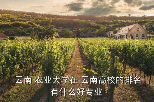 云南农业大学农业类怎么样,红河助学云南农业大学怎么样