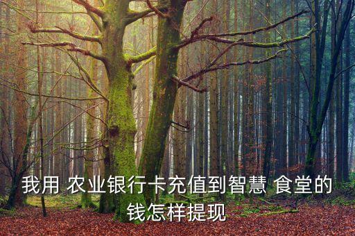 农业银行食堂退款怎么退,如何农业银行食堂退款