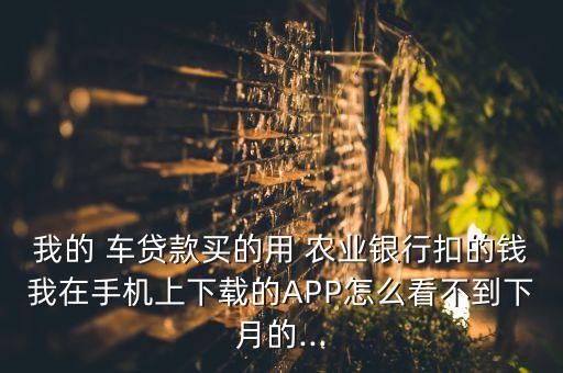农业银行车贷查询怎么查,车贷在农业银行app查不到