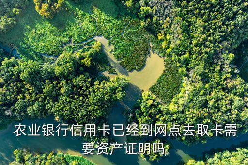 什么叫农业银行资料审查,农业银行卡什么叫一类卡