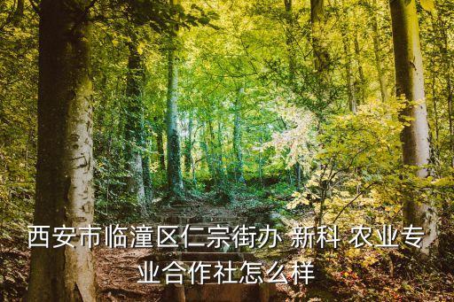 新科农业顾问怎么样啊