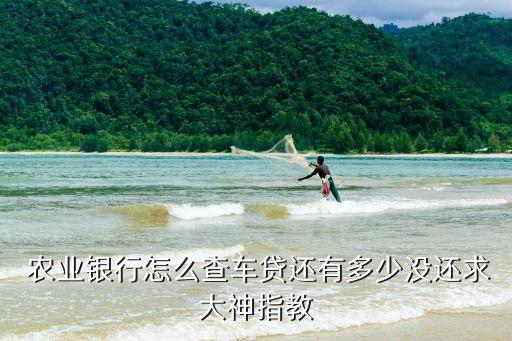 怎么查询农业银行分期还款,农行信用卡分期还款怎么办理