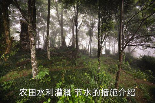 在农业当中应当怎么节水,农业方面怎么节水