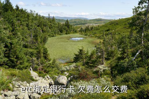 农业etc欠费怎么补缴