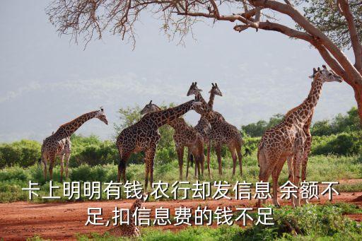 农业银行余额不足怎么回事