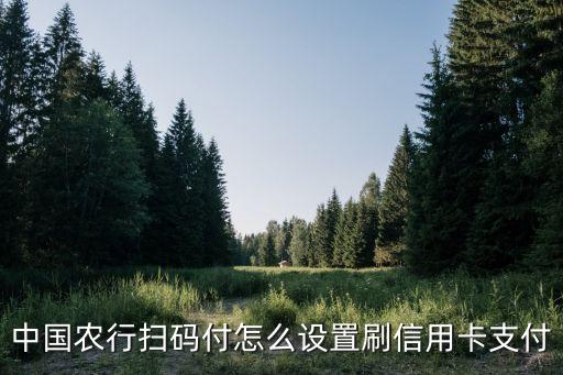 农业银行的付款码怎么申请