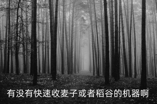 大型农业机械怎么收割水稻