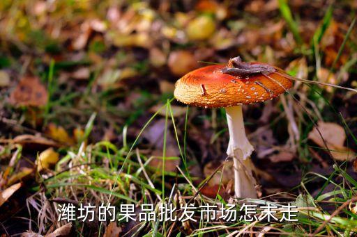 寒亭农业果业怎么样,辛庄村的农业资源