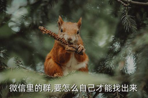 怎么找农业工作群微信聊天