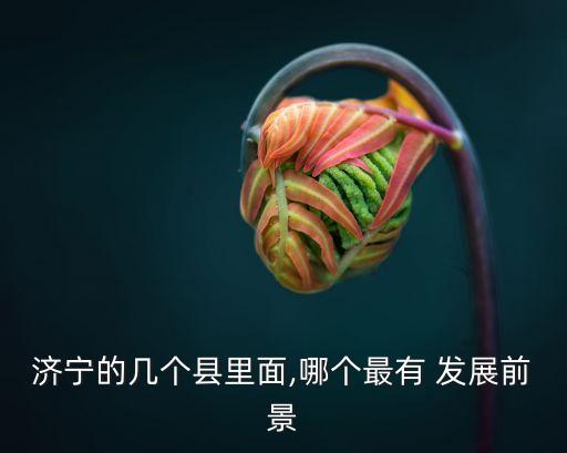 鱼台农业发展怎么样,济宁鱼台发展怎么样
