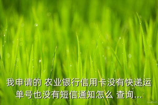 农业银行怎么查询邮寄