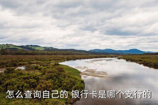 农业银行怎么查银行分行,怎么查银行行号农业银行
