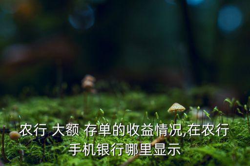 农业银行大额存单怎么