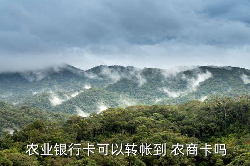 农商银行怎么转账农业银行