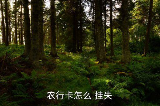 农业银行怎么手机挂失电话,手机农业银行挂失卡怎么解除