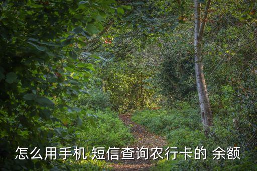 农业银行怎么余额短信