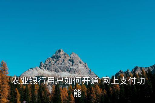 农业银行金穗卡网上怎么付