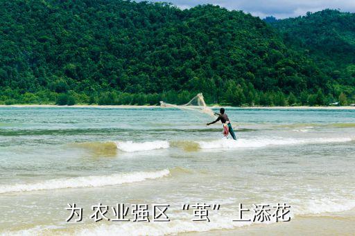 怎么让广西的农业发展,广西鑫来农业发展有限公司