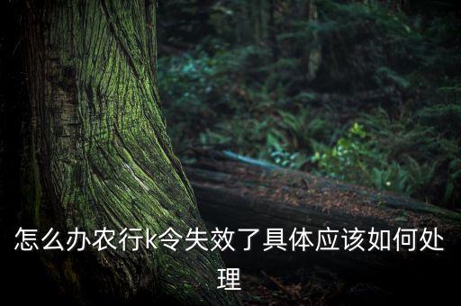 农业k令没电了怎么办