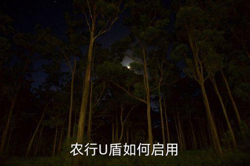 农业银行u盾对账怎么操作