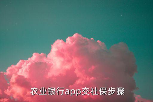 农业银行信息怎么交费,在农业银行上怎样给小学生交费