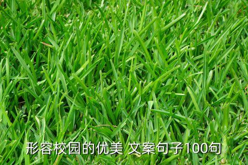 新农业硕士学校文案怎么写