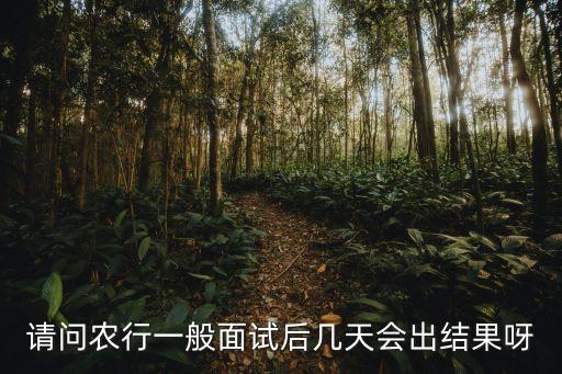 九寨沟农业银行全称叫什么,农业银行的全称叫什么