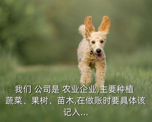 农业公司购买蔬菜分录怎么写