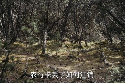 农业银行没卡怎么销卡