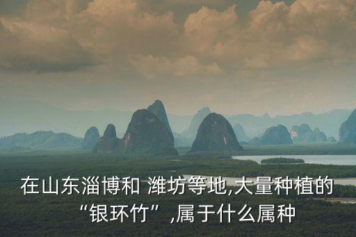 潍坊禾本农业怎么样