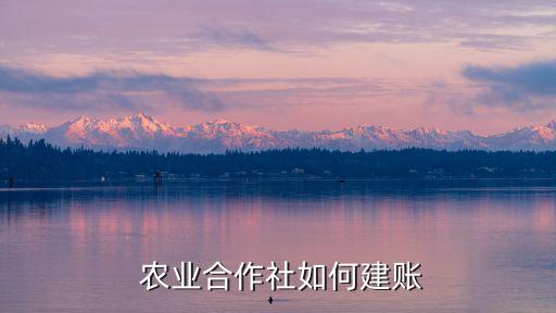 农业托管台账怎么做,托管农业是怎么做的