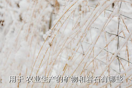 金刚农业是什么,金刚木是什么木头