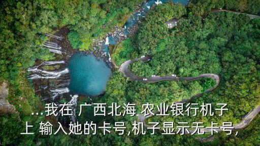 广西农业银行卡号怎么输入,农业银行银行卡号怎么输入
