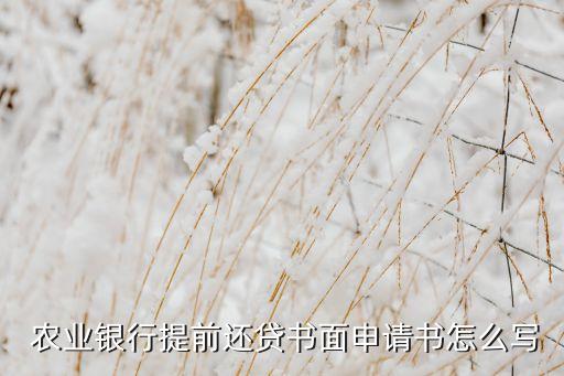 农业贷款声请书怎么写,廉租房声请书怎么写