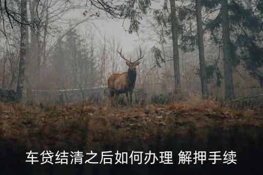 农业银行解押怎么操作的,银行贷款解押怎么办理