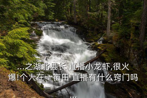 做农业的直播讲什么,开农业公司可以做直播吗