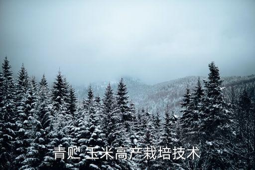 农业玉米种202怎么样,盛翔农业的玉米种怎么样