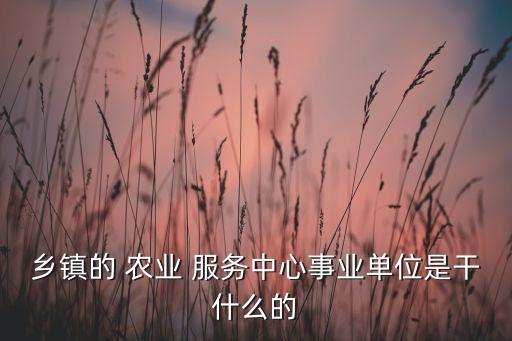 七都镇农业服务中心怎么样,请问农业服务中心怎么样