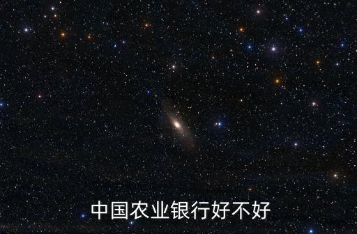 中国农业银行武汉怎么样