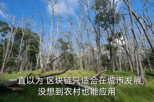 区块链怎么应用在农业中,区块儿链是怎么应用的