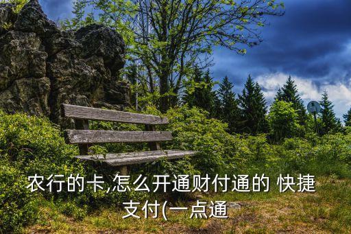 农业银行怎么弄快捷支付
