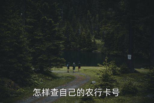 怎么显示农业银行的号码,10108599是农业银行号码吗