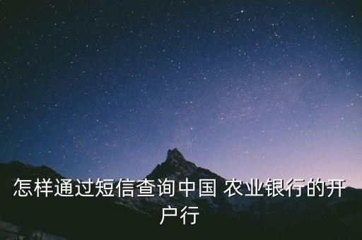 农业银行卡号怎么查支行,手机查询农业银行卡号开户行