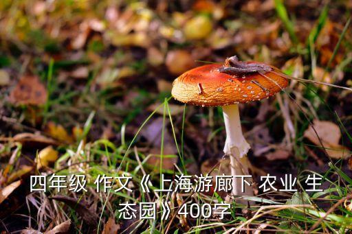 农业生态园导游作文怎么写